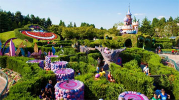 Alice's Curious Labyrinth