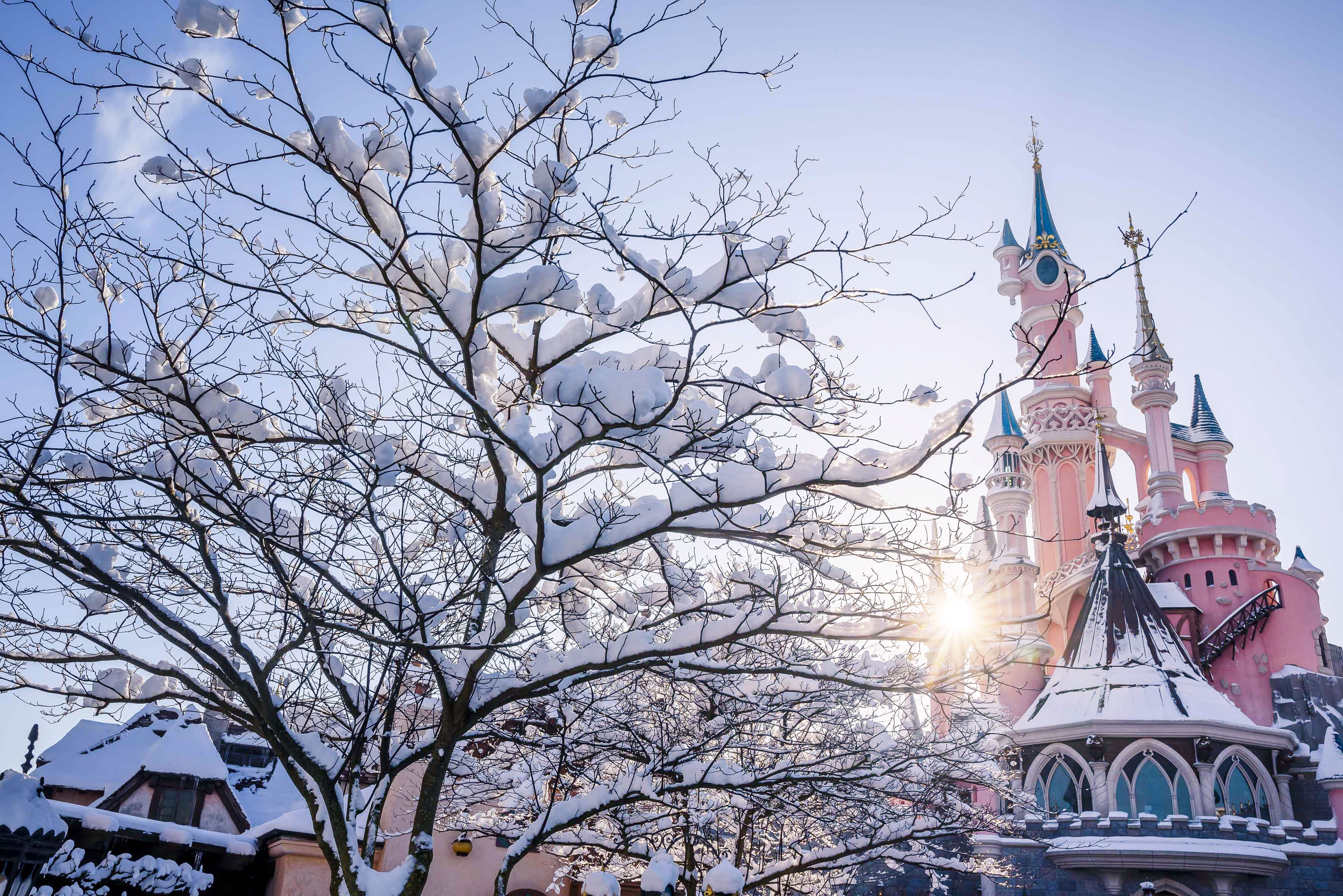 Pourquoi faut-il aller à Disneyland Paris en février ?